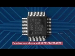 LPC11C24FBD48301